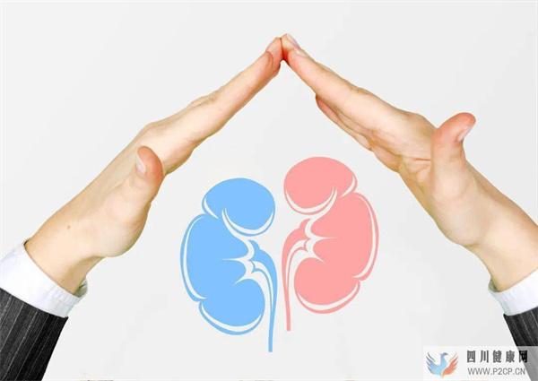 肾病预防:肾病前兆提前“告知”,你的肾还好吗?(图1) 肾病预防:肾病前兆提前“告知”,你的肾还好吗?(图1)