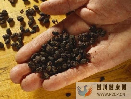 得了糖尿病,水果就要少吃?医生:吃降糖药还不如吃这种水果!你还不知道?(图1) 得了糖尿病,水果就要少吃?医生:吃降糖药还不如吃这种水果!你还不知道?(图1)