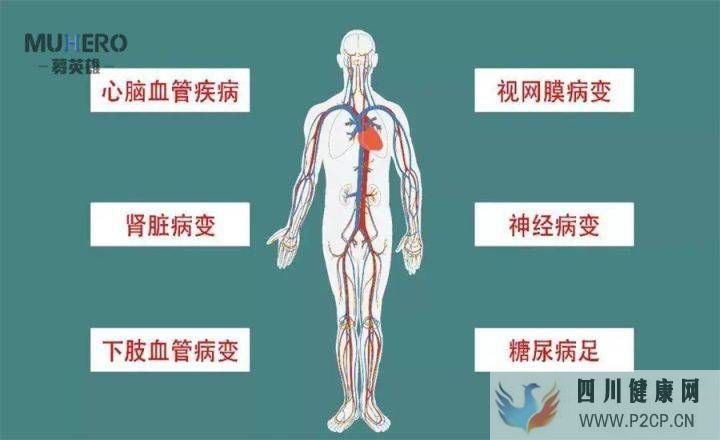 血糖高是糖尿病吗(图2) 血糖高是糖尿病吗(图2)