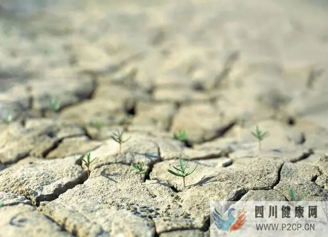 糖尿病患者的高血糖是如何出现的?酮症酸中毒是怎么回事?(图1) 糖尿病患者的高血糖是如何出现的?酮症酸中毒是怎么回事?(图1)