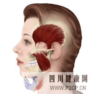 打瘦脸针安全吗?有副作用吗?想微整的你必看!(图1) 打瘦脸针安全吗?有副作用吗?想微整的你必看!(图1)