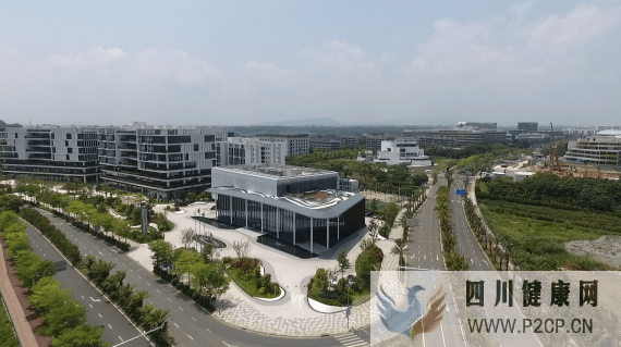 我眼中的中国机遇|来自荷兰的他为何留在海南博鳌乐城(图2) 我眼中的中国机遇|来自荷兰的他为何留在海南博鳌乐城(图2)