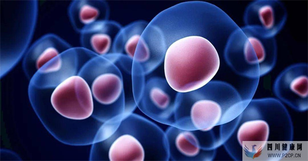 杭州打一针干细胞多少费用?平常人打干细胞有什么作用?(图1) 杭州打一针干细胞多少费用?平常人打干细胞有什么作用?(图1)