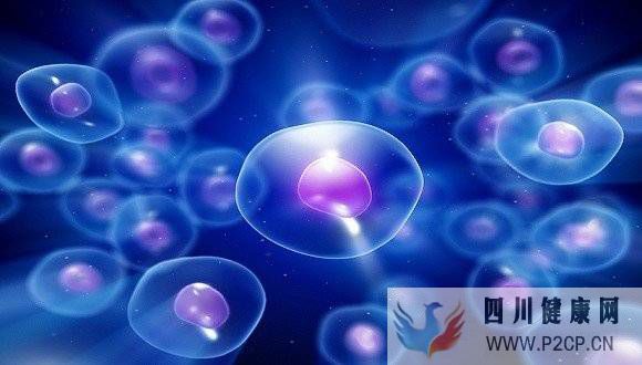 上海打一针干细胞多少钱?打一针干细胞能管几年这点太重要了~(图1) 上海打一针干细胞多少钱?打一针干细胞能管几年这点太重要了~(图1)