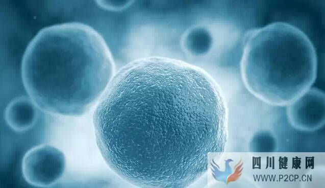 天价干细胞针有哪些作用(图1) 天价干细胞针有哪些作用(图1)