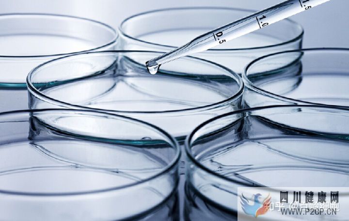 打干细胞针多少钱一支打一针干细胞能管几年(图1) 打干细胞针多少钱一支打一针干细胞能管几年(图1)