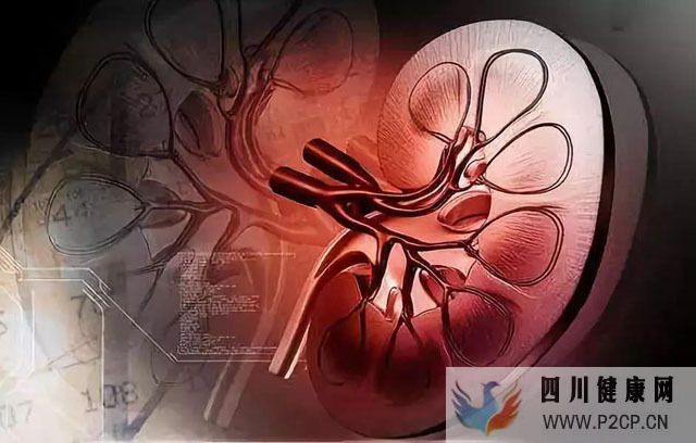 糖尿病肾病早期治疗可防止发生肾衰竭,哪些中草药可以降血糖?(图1) 糖尿病肾病早期治疗可防止发生肾衰竭,哪些中草药可以降血糖?(图1)