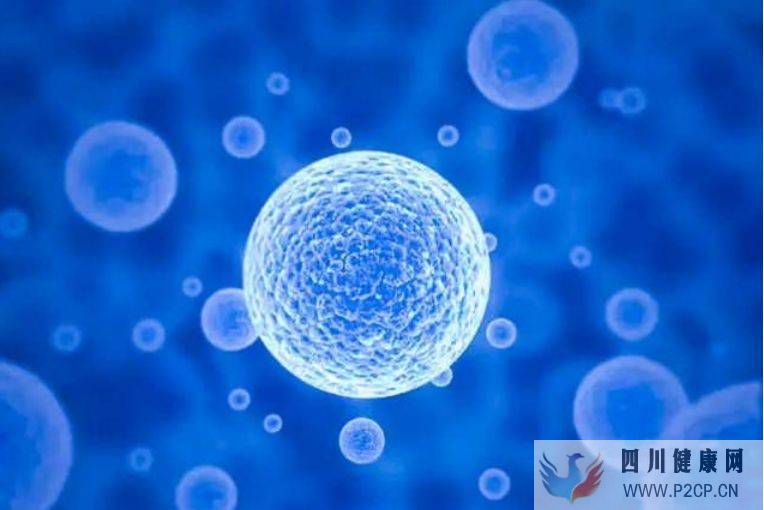 正常人打干细胞对身体有什么好处?正常人做干细胞会有什么作用呢?(图1) 正常人打干细胞对身体有什么好处?正常人做干细胞会有什么作用呢?(图1)