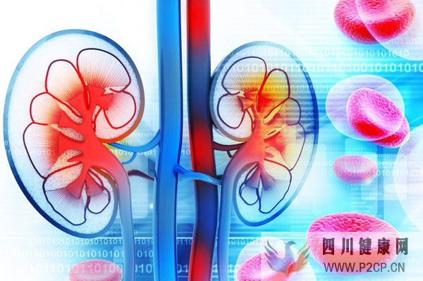 糖尿病肾病中医能治疗吗?哪个阶段出现症状?预防发病要注意5点(图1) 糖尿病肾病中医能治疗吗?哪个阶段出现症状?预防发病要注意5点(图1)