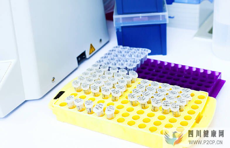 干细胞一般价格表?王智华博士(图1) 干细胞一般价格表?王智华博士(图1)