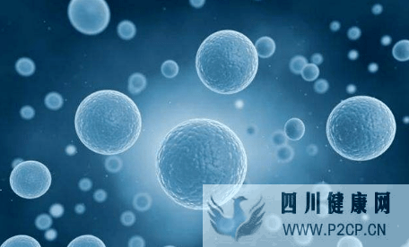 国家干细胞与干细胞注射方法(图1) 国家干细胞与干细胞注射方法(图1)