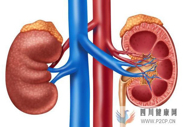 女子肾病花了几十万为何发生尿毒症？如何控制肾病并保持稳定？(图1)