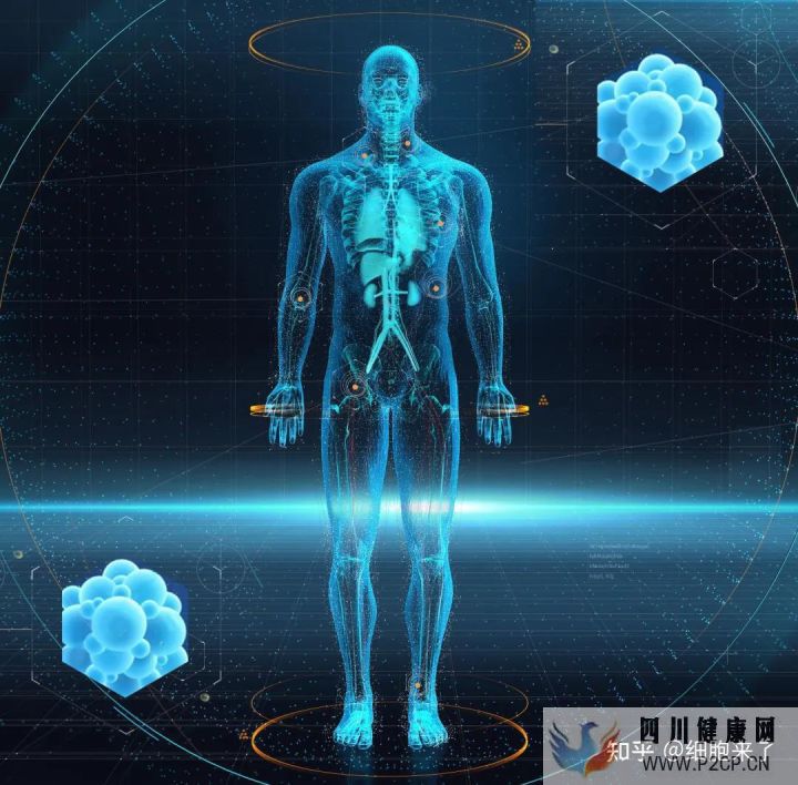 间充质干细胞注射一针的价格表来了!(图2) 间充质干细胞注射一针的价格表来了!(图2)