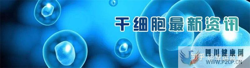 关于干细胞填充要做几次,干细胞填充一般多久才看到...(图4) 关于干细胞填充要做几次,干细胞填充一般多久才看到...(图4)