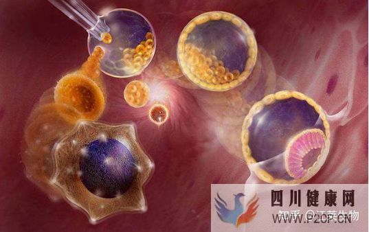 一针60万“胚胎干细胞针”妄想长生不老(图6) 一针60万“胚胎干细胞针”妄想长生不老(图6)