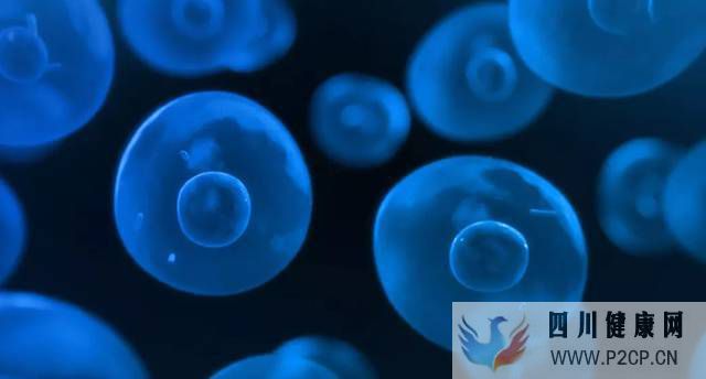 干细胞注射费用多少,大家一起来了解(图1) 干细胞注射费用多少,大家一起来了解(图1)