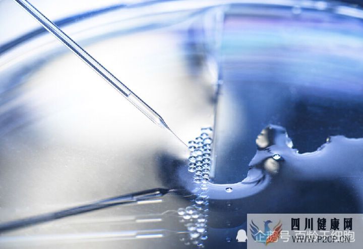 什么是干细胞干细胞有什么作用(图6) 什么是干细胞干细胞有什么作用(图6)