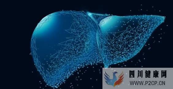 肝纤维化可逆转?干细胞干预肝纤维化5大作用机制!(图1) 肝纤维化可逆转?干细胞干预肝纤维化5大作用机制!(图1)