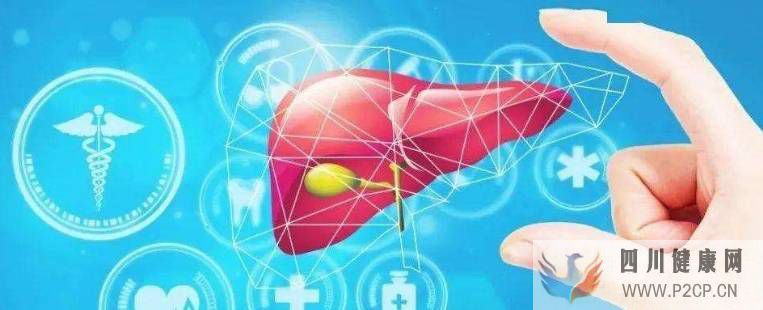 肝纤维化可逆转?干细胞干预肝纤维化5大作用机制!(图2) 肝纤维化可逆转?干细胞干预肝纤维化5大作用机制!(图2)