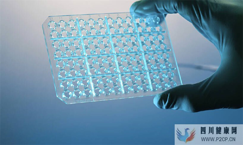 干细胞发展方向和应用前景干细胞的四大应用方向(图1) 干细胞发展方向和应用前景干细胞的四大应用方向(图1)