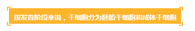 各种干细胞到底有何作用(图2) 各种干细胞到底有何作用(图2)