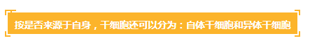 各种干细胞到底有何作用(图11) 各种干细胞到底有何作用(图11)