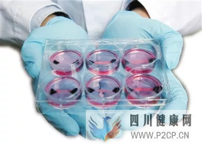 干细胞护肤品的优势在哪?干细胞保养的好处超乎你的想象!(图1) 干细胞护肤品的优势在哪?干细胞保养的好处超乎你的想象!(图1)