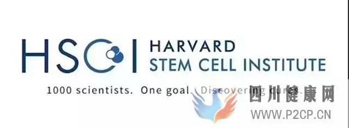 哈佛干细胞研究所告诉你怎样治疗糖尿病(图2) 哈佛干细胞研究所告诉你怎样治疗糖尿病(图2)