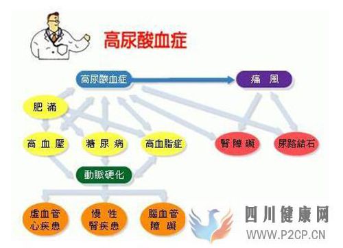 当痛风合并高血压、糖尿病怎样科学治疗才能保证两者兼顾?(图1) 当痛风合并高血压、糖尿病怎样科学治疗才能保证两者兼顾?(图1)