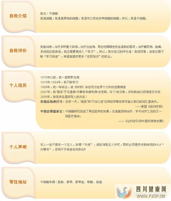 干细胞简介——什么是干细胞(图3)