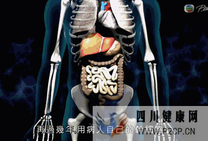 干细胞对身体的几大作用(图9)