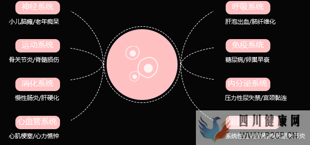 干细胞是干什么的有什么作用和“我”有什么关...(图9) 干细胞是干什么的有什么作用和“我”有什么关...(图9)