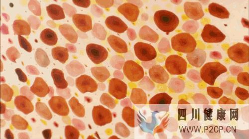 干细胞是干什么的有什么作用和“我”有什么关...(图13) 干细胞是干什么的有什么作用和“我”有什么关...(图13)