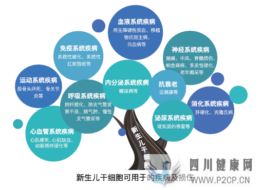 科普丨干细胞是干什么的能治疗哪些病国内外研究...(图1) 科普丨干细胞是干什么的能治疗哪些病国内外研究...(图1)