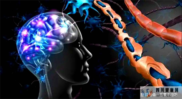 干细胞疗法:2大作用帮助改善多发性硬化(图1) 干细胞疗法:2大作用帮助改善多发性硬化(图1)