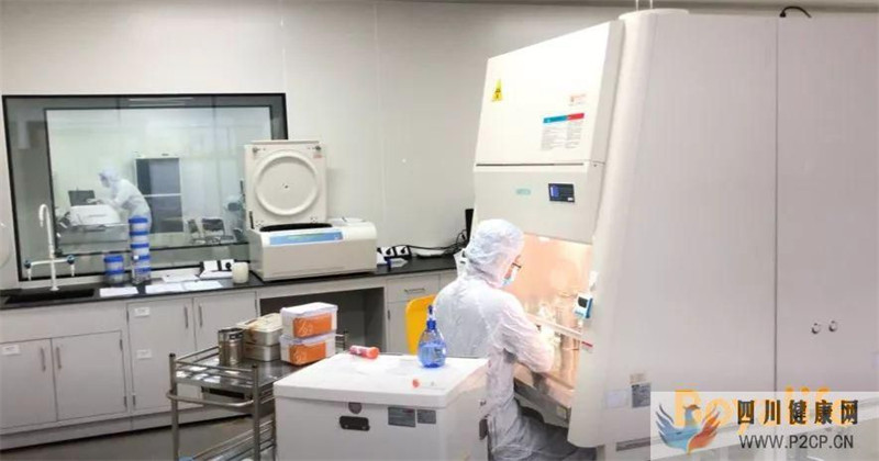 攻略如何选择一家靠谱的干细胞存储服务机构(图5) 攻略如何选择一家靠谱的干细胞存储服务机构(图5)