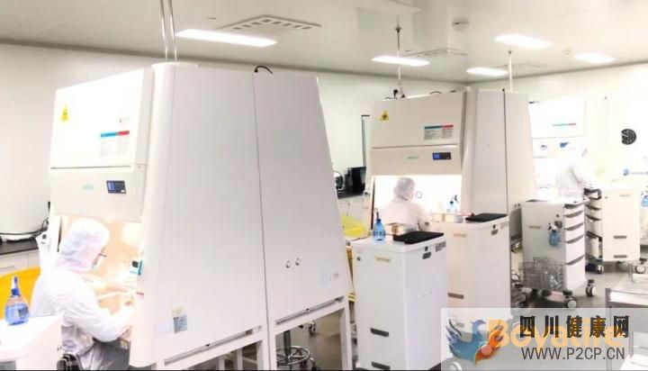 攻略如何选择一家靠谱的干细胞存储服务机构(图15) 攻略如何选择一家靠谱的干细胞存储服务机构(图15)