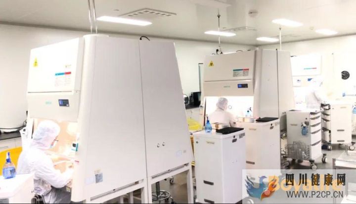 攻略如何选择一家靠谱的干细胞存储服务机构(图16) 攻略如何选择一家靠谱的干细胞存储服务机构(图16)