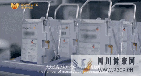 攻略如何选择一家靠谱的干细胞存储服务机构(图19) 攻略如何选择一家靠谱的干细胞存储服务机构(图19)