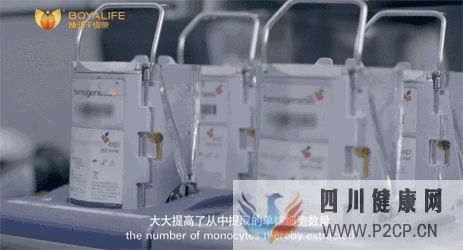 攻略如何选择一家靠谱的干细胞存储服务机构(图20) 攻略如何选择一家靠谱的干细胞存储服务机构(图20)