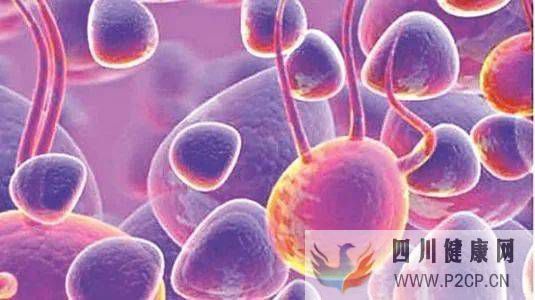 科普丨为何明星大咖都青睐干细胞储存?干细胞有什么作用?(图1) 科普丨为何明星大咖都青睐干细胞储存?干细胞有什么作用?(图1)