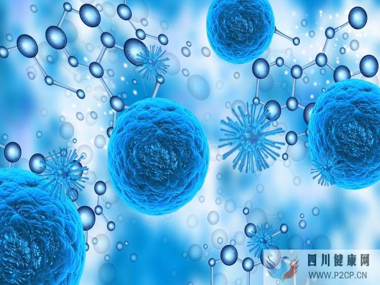 脐带血干细胞值得储存吗(图1) 脐带血干细胞值得储存吗(图1)