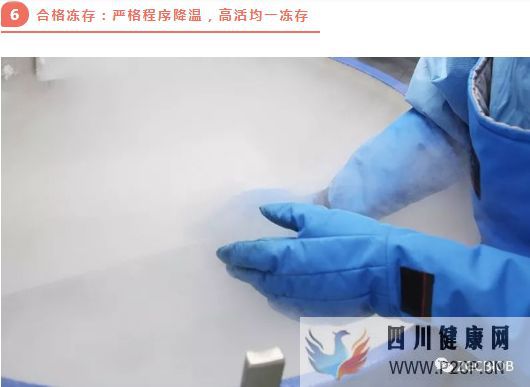 高端解读一分钟了解脐带源间充质干细胞存储流程(图2) 高端解读一分钟了解脐带源间充质干细胞存储流程(图2)