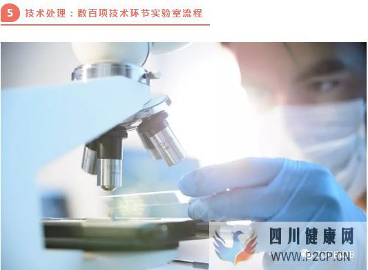 高端解读一分钟了解脐带源间充质干细胞存储流程(图4) 高端解读一分钟了解脐带源间充质干细胞存储流程(图4)