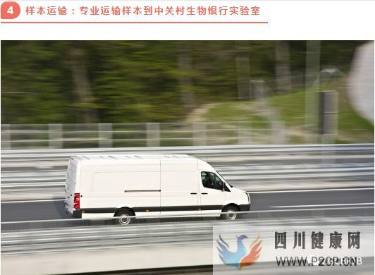 高端解读一分钟了解脐带源间充质干细胞存储流程(图5) 高端解读一分钟了解脐带源间充质干细胞存储流程(图5)