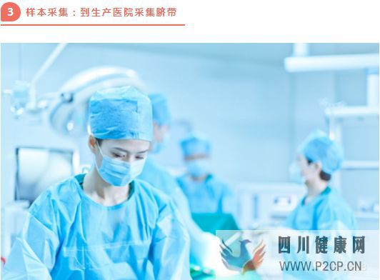 高端解读一分钟了解脐带源间充质干细胞存储流程(图8) 高端解读一分钟了解脐带源间充质干细胞存储流程(图8)