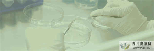 乳牙干细胞vs脐带干细胞(图1)