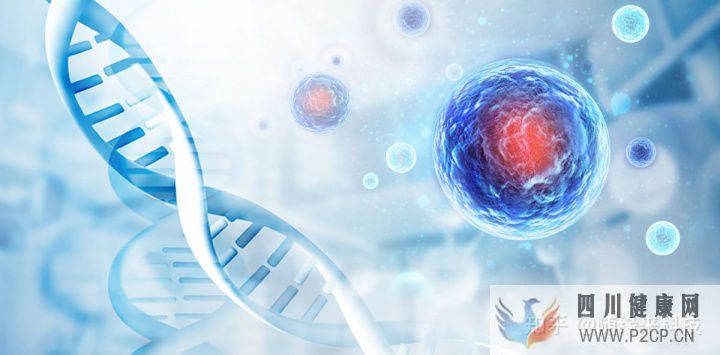 什么是干细胞,不同的干细胞是指什么,又是如何区...(图3) 什么是干细胞,不同的干细胞是指什么,又是如何区...(图3)