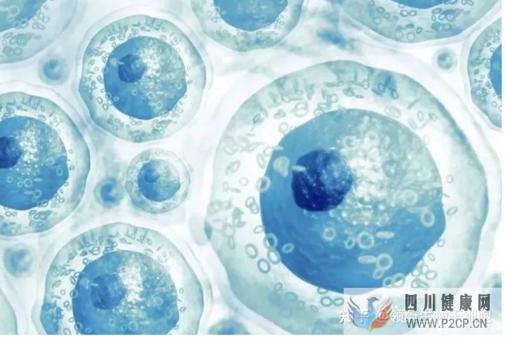 科技部部长我国在干细胞领域取得了一批具有国际...(图8) 科技部部长我国在干细胞领域取得了一批具有国际...(图8)