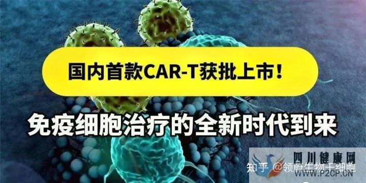科技部部长我国在干细胞领域取得了一批具有国际...(图10) 科技部部长我国在干细胞领域取得了一批具有国际...(图10)